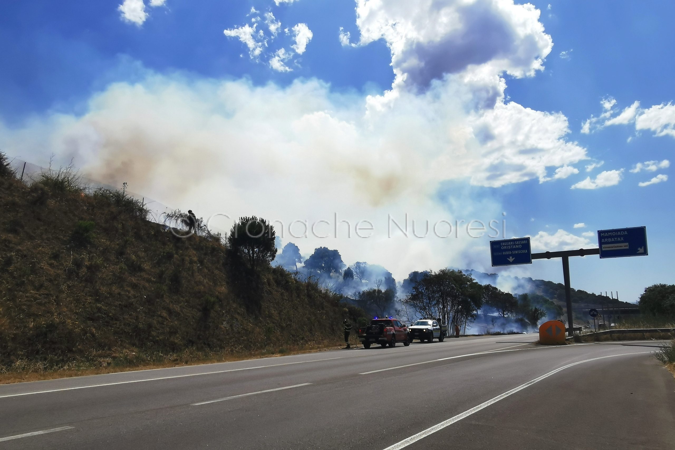 Inferno di fuoco alle porte di Nuoro: le fiamme lambiscono la strada e minacciano le case