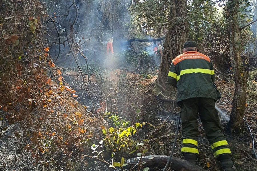 15 incendi oggi in Sardegna. In campo elicotteri e canadair: a Ghilarza chiusa al traffico la 131