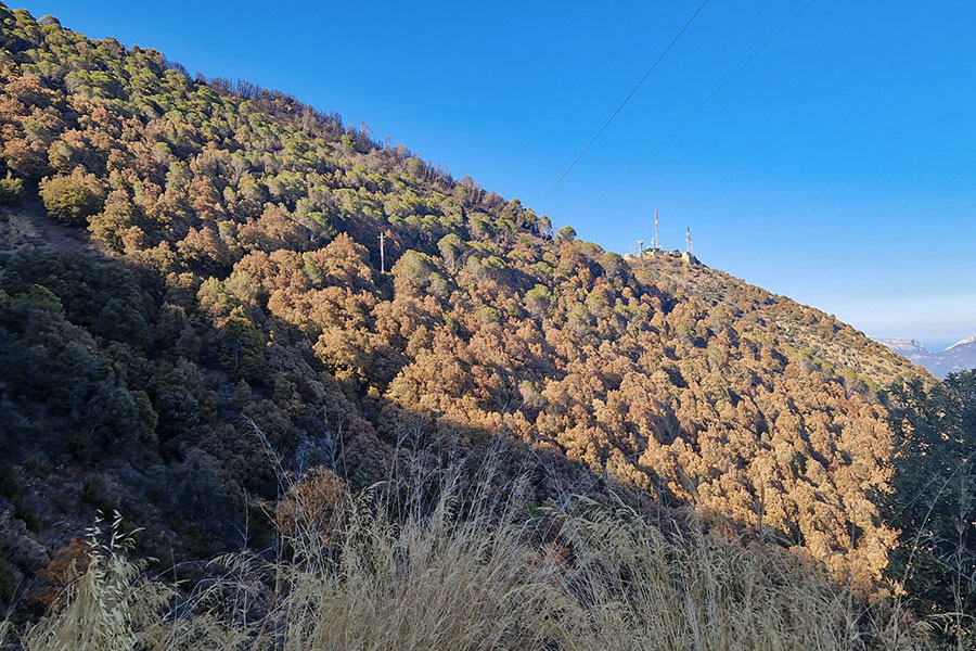 Non si arresta il processo di desertificazione in Sardegna: preoccupano il Nuorese, la Gallura, l’Ogliastra, la Baronia e il Sarrabus