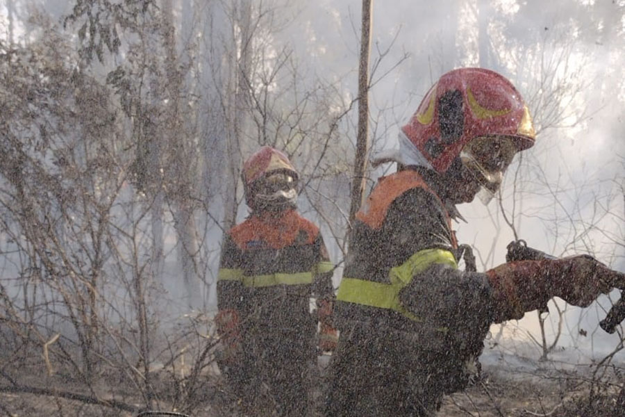 Ancora roghi in Sardegna: a Arborea le fiamme minacciano un resort