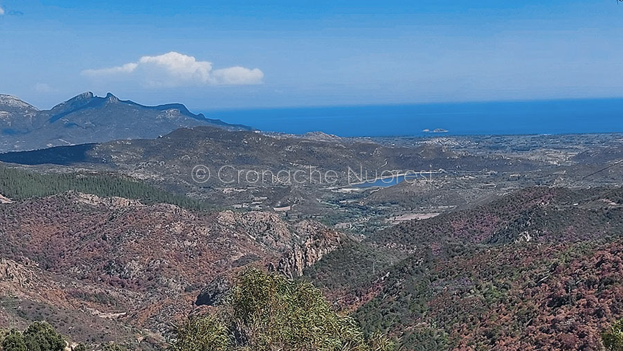 La lunga siccità sta flagellando la Sardegna: chiesto lo stato di calamità