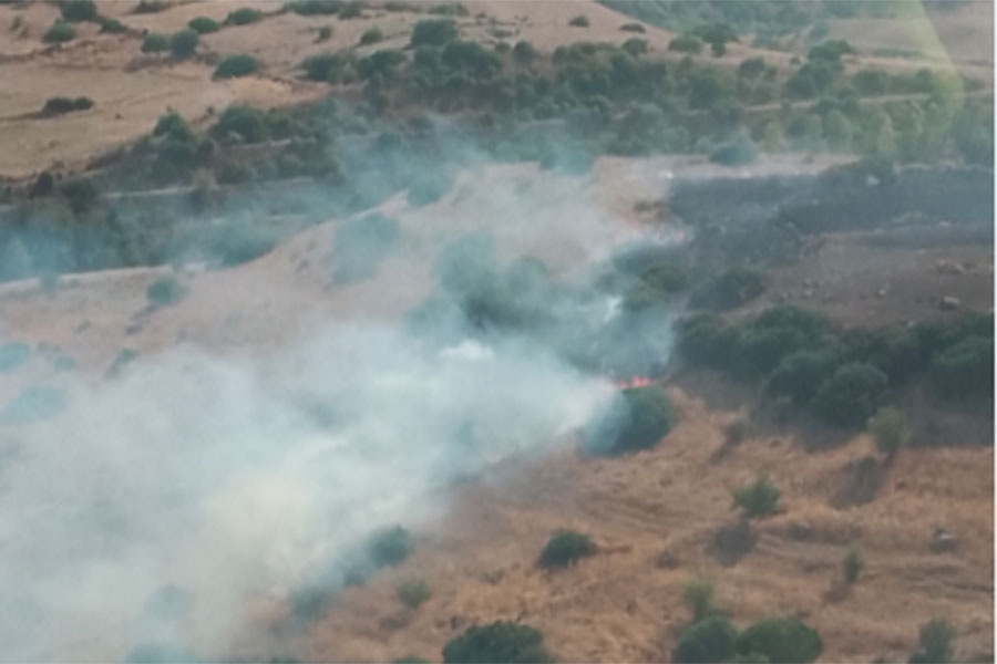 Incendio nelle campagne di Ottana: imponenti le forze in campo