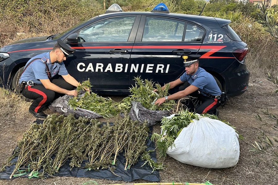 Tortolì. Marijuana nascosta in un’auto e in campagna: sequestrati oltre 28 kg