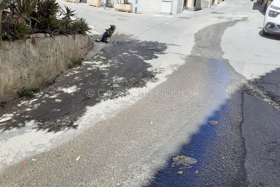 Nuoro. Stessa via ma nuova perdita d’acqua nel centro storico cittadino – LE IMMAGINI