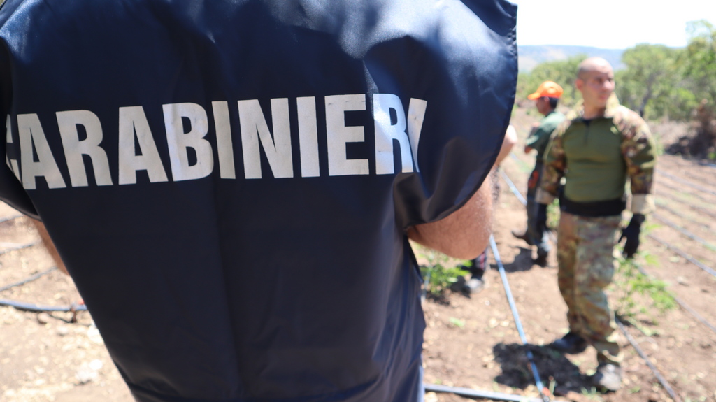 In un’azienda agricola per il censimento del bestiame trovano 5 kg di marijuana e un etto e mezzo di hashish: 20enne nei guai