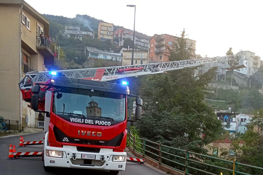 Paura per un albero ad alto fusto sradicato dalla pioggia: intervengono i Vigili del fuoco