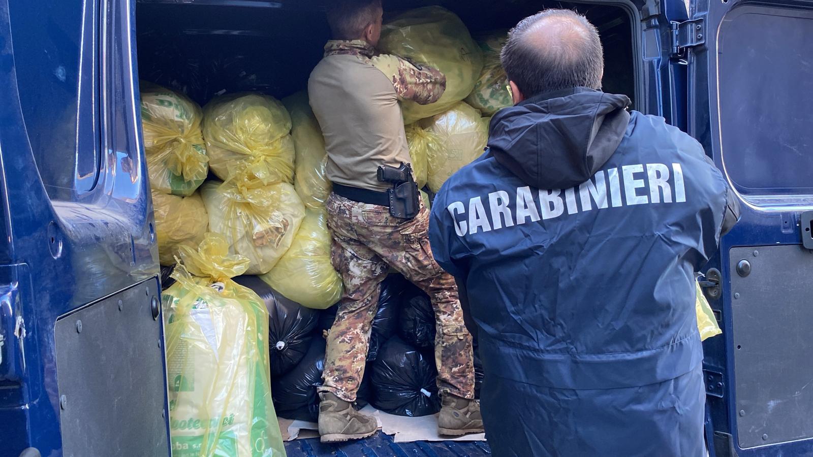 3,7 tonnellate di marijuana scoperte e sequestrate a Sarule: un arresto – VIDEO