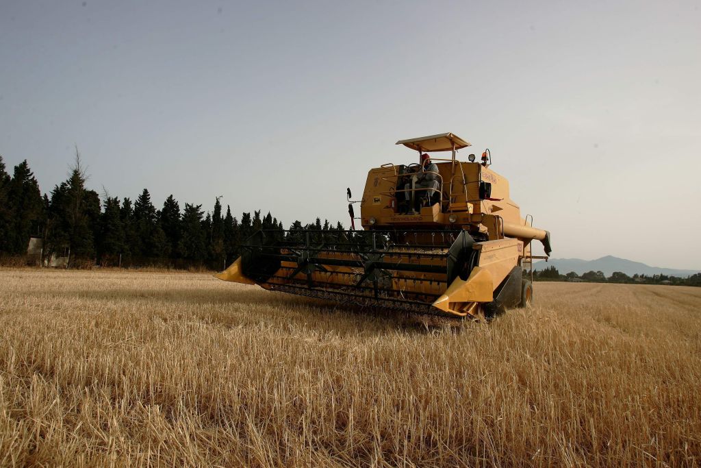 Agricoltura, Satta “Gap insularità per chi produce in Sardegna”