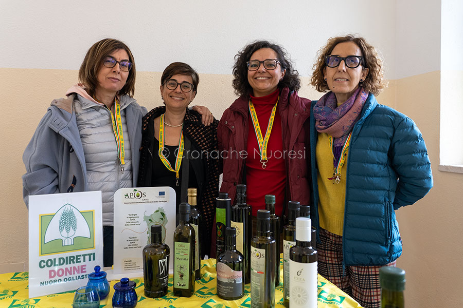 Nuoro. Riflettori puntati sull’Oro verde sardo: un convegno per celebrare e proteggere l’olio d’oliva