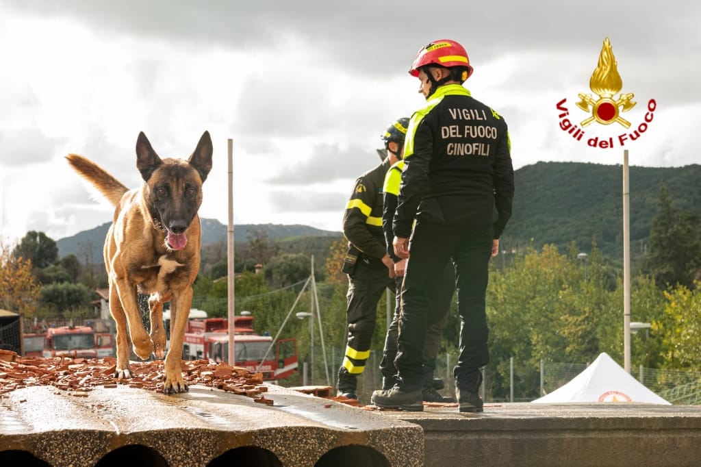 Tre nuovi cani alle unità cinofile dei VVF di Nuoro, Cagliari e Sassari