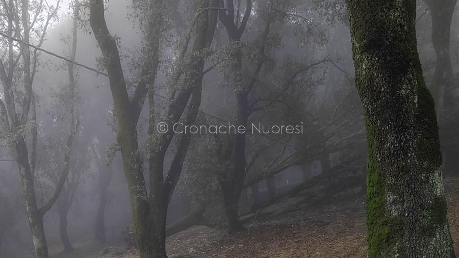 Nuoro. Il lato oscuro dell’Ortobene: residenti al buio da decenni