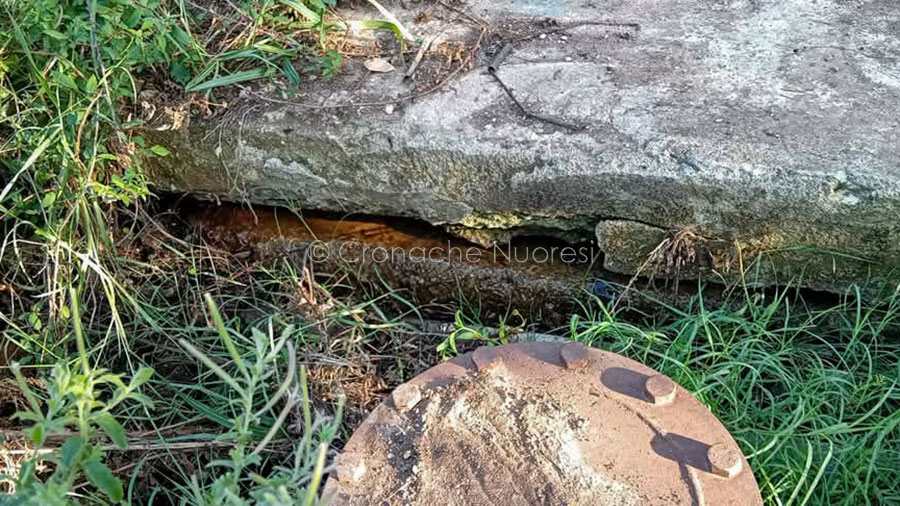 Oliena: fiume d’acqua disperso in campagna. Uliana Nova: “Emergenza idrica ignorata dagli amministratori”